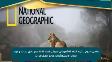 عاجل اليوم.. تردد قناة ناشيونال جيوغرافيك 2025 عبر نايل سات وعرب سات لاستكشاف عالم المغامرات